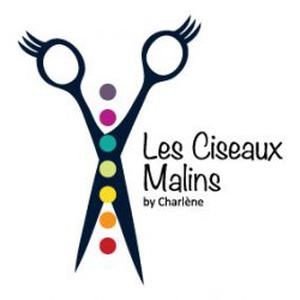 Photo de Les ciseaux malins