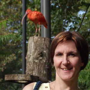 aide a domicile bauvin