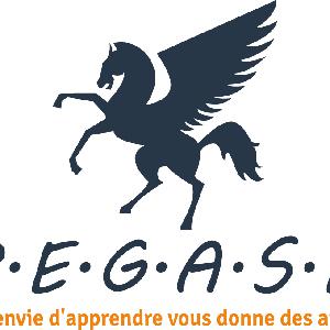 Photo de P.E.G.A.S.E.