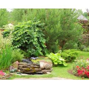 Jardinage entretien de votre jardin renovation de l'habitat