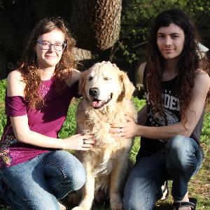 Cours d'anglais à domicile (soutien scolaire)