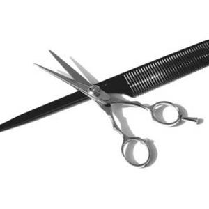 coiffeuse a domicile