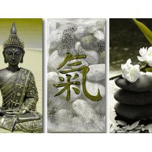 Cours de Qi GONG Collectifs & Particuliers à domicile