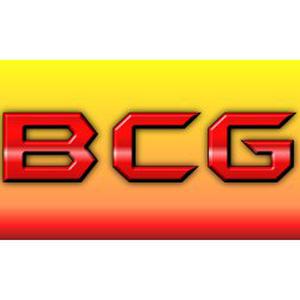 Photo de Bron Conseil Gestion