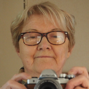 L'anglais sans larmes