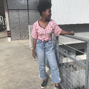 Ménage et baby-sitter  à Saint-Denis ,