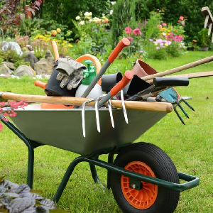 Jardinage, entretien de jardin et petits bricolages