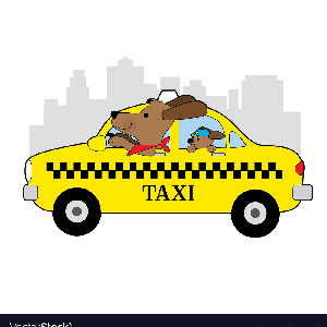 Photo de Taxi pour animaux
