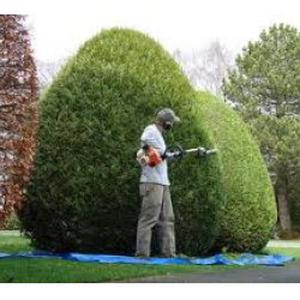 Photo de aux jardins verts-(mb)