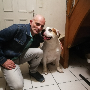 Garde d'enfants,  promenades chiens