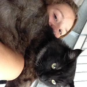 Promenade et visites chiens’ et autres à Toulouse