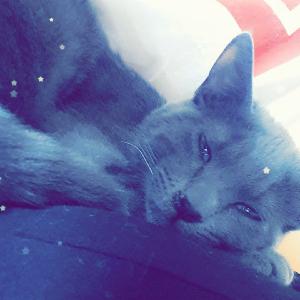 Garde d'enfants et ménage