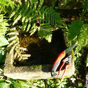Propose sevice de jardinier
