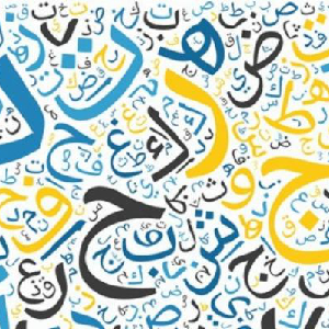 Cours particulier en arabe ( littéraire + syrien )
