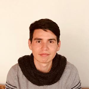 Professeur natif espagnol, niveau élémentaire. Collège, Lycée