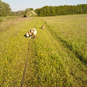 pension comme à la maison