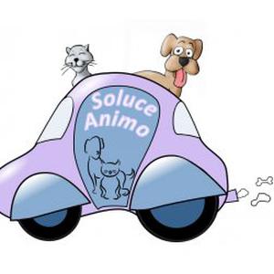 Promenades, Visites à domicile, Taxi pour vos animaux