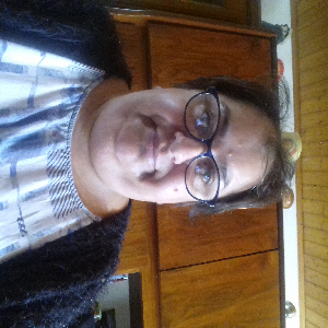 Aide a la personne repassage babby setters