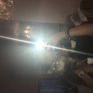 Pet-sitter à Lorient et Brest