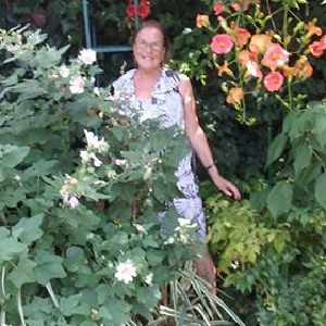 Aide aux personnes âgées