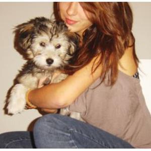 Je sors vos amis à 4 pattes