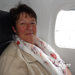 ménage , repassage,lessive,cuisine,faire les courses,baby-sitting......