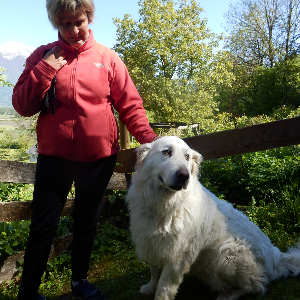 aide médico psychologique/ auxiliaire de vie sociale assistée de la médiation animale