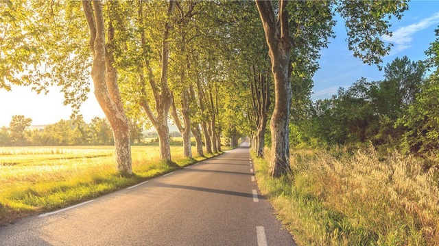 photo couverture Sani 92