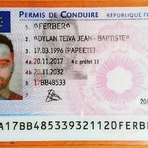 Pizzaïolo,Commis de cuisine,Plongeur,Livreur,Manutentionnaire à Carcassonne  +20km