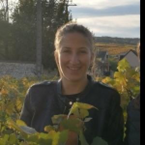 Je vous propose de vous aider à réaliser vos tâches ménagères.