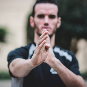 Photo de Progressive wing tsun system