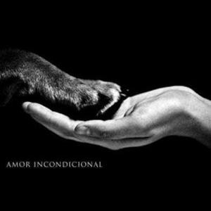 Toilettage a domicile sans stress