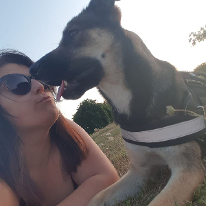 Balades canines