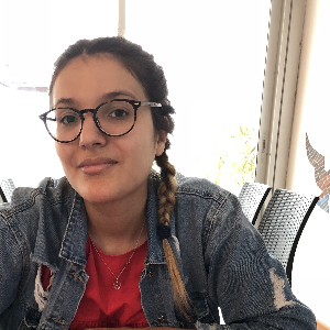 aide ménagère , repassage