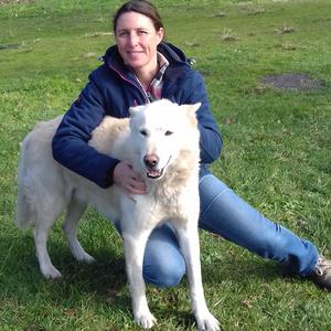 Photo de gard' animal services