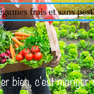 Jardinier bénévole