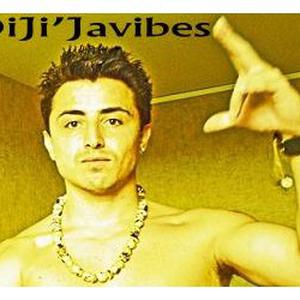 Photo de Diji'Javibes discomobile