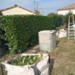 JARDINAGE, BRICOLAGE : CESU, 50% crédit d'impôt immédiat