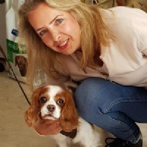 Recherche emploi de dame de compagnie