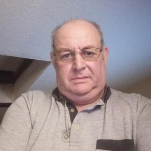 jardinage et taille de pelouse