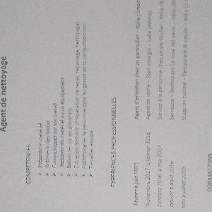 Agent Nettoyage