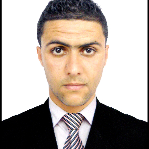 Ménage à Villeurbanne et alentours