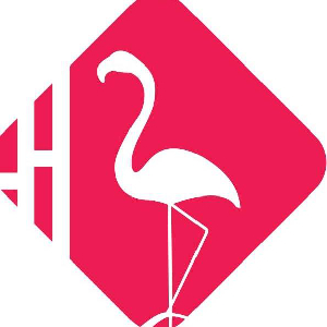 votre site web offert au havre