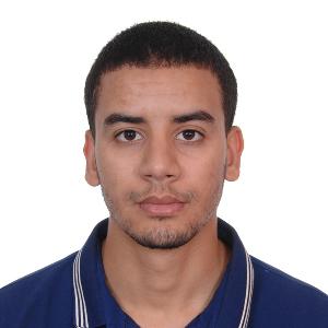 analyste programmeur