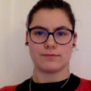 Aide-Soignante à LILLE