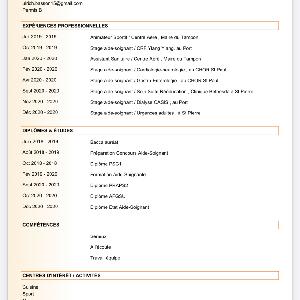 Baby Sitting sur tout le sud et l'ouest de la Reunion , avec soutien scolaire