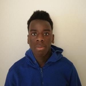 Baby-sitter à Angers