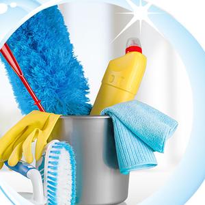 agente d'entretien expérimentée propose ménage chez des particuliers