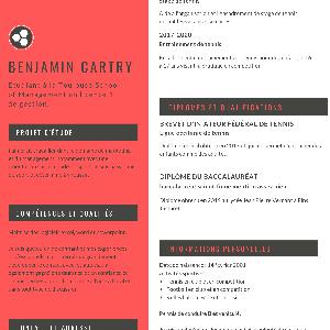 Je vous propose du baby-sitting ou de l'aide aux devoirs dans la région de Toulouse.