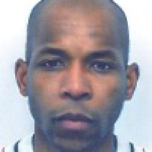 bricolage, jardinage, peinture.